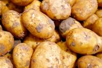 potatoes-2329648_1920