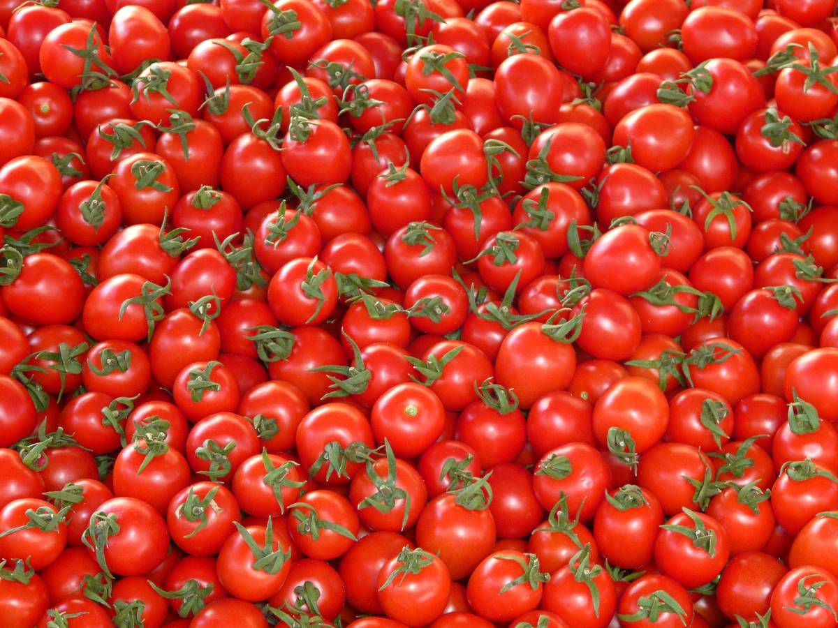 tomatoes-73913_1920